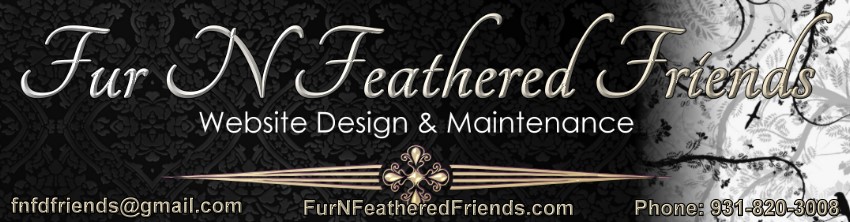 Fur N Feathered Friends Website Design